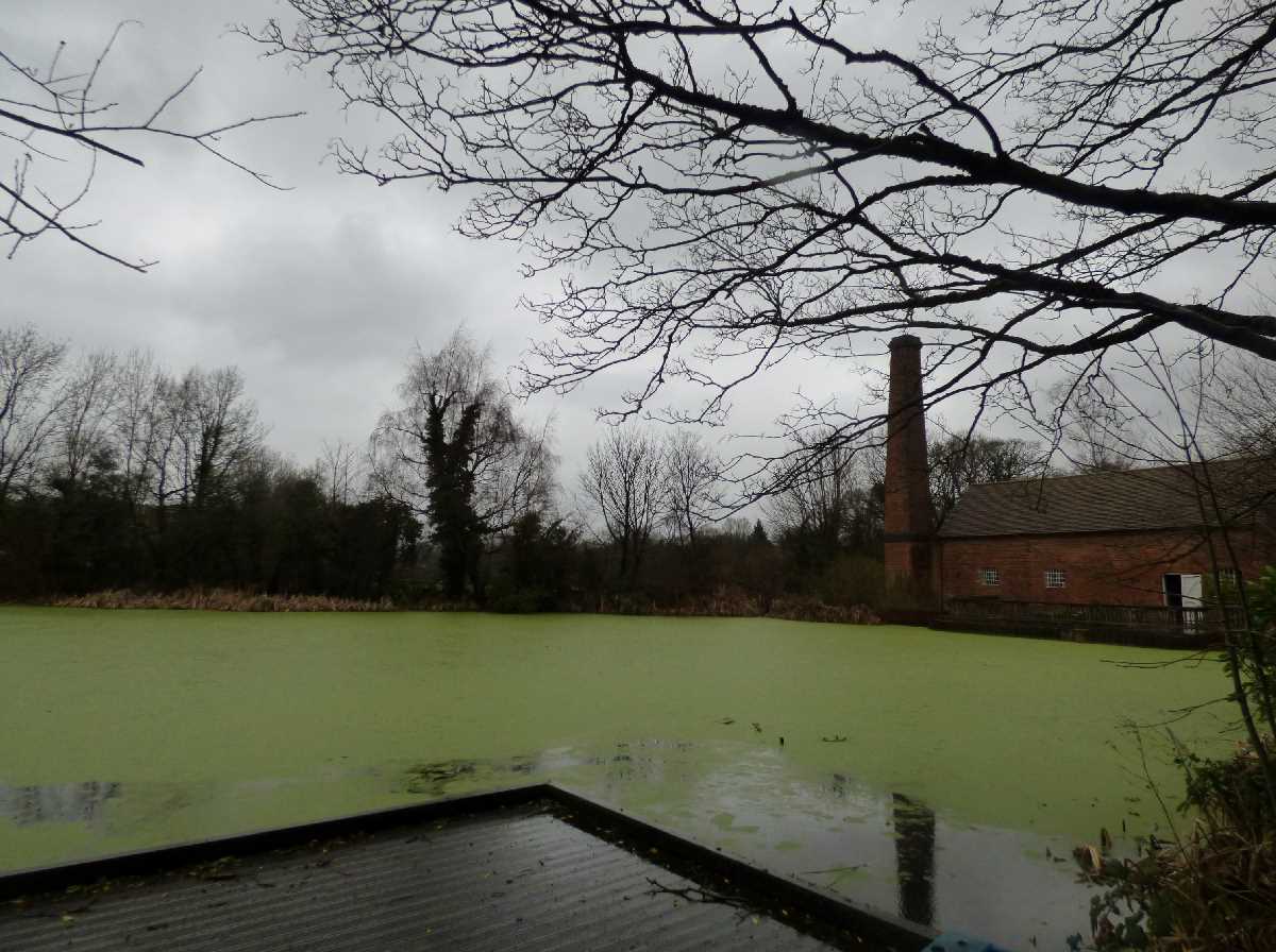 Sarehole Mill the mill pool